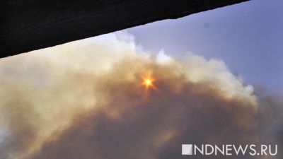 СМИ: Резервуары с дизтопливом в Брянской области загорелись после атаки дрона