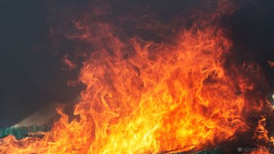 В Тюменской области за информацию о виновниках пожаров будут платить 40 тыс. рублей