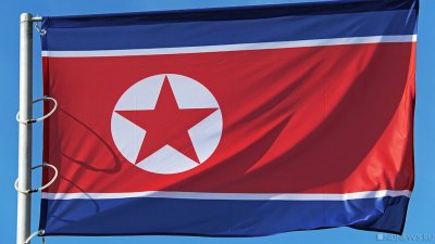 Госдума запросит МИД о возможности использования северокорейских рабочих
